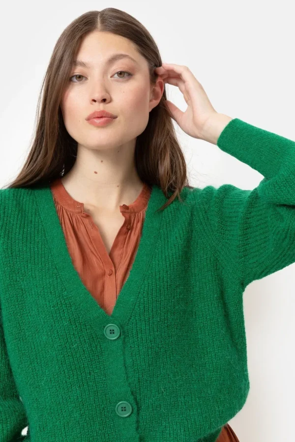 Korte E Cardigan Met V-Hals En Knopen-Terre Bleue Clearance